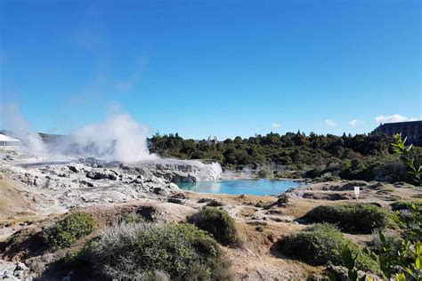 whakarewarewa, the living maori village|whakarewarewa geothermal valley.
